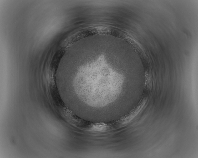 X0000113950189200909251346