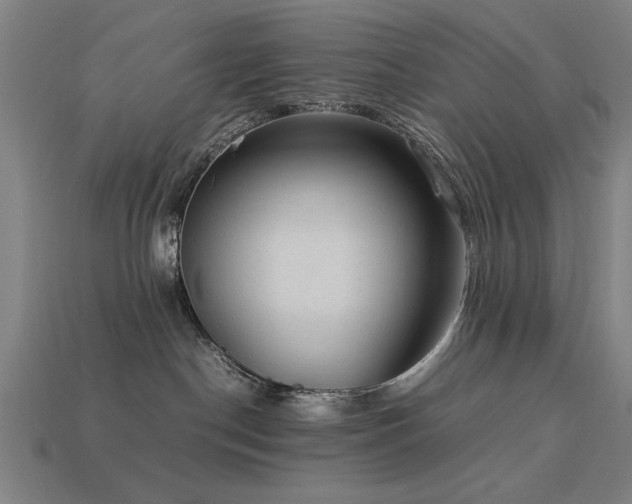 X0000113950190200909251346