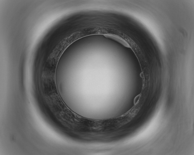 X0000113950191200909251346