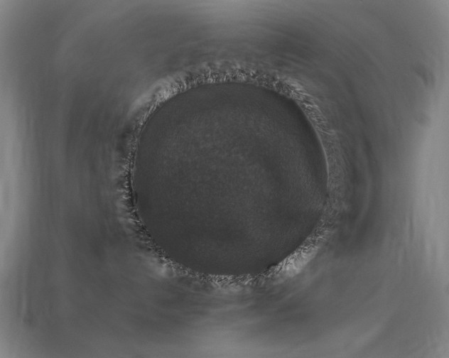 X0000113950192200909251346
