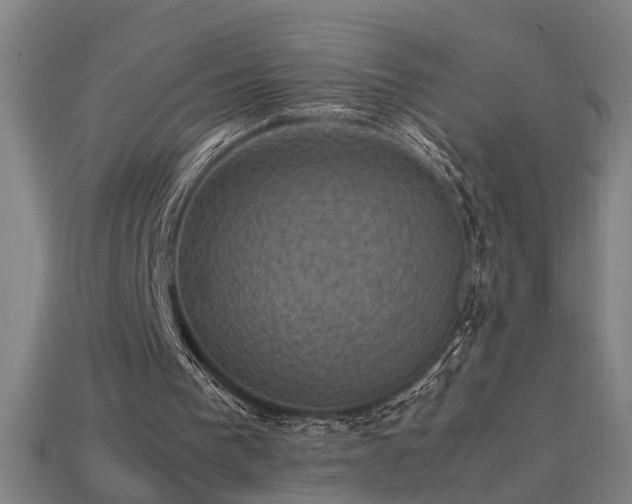 X0000113950193200909251346