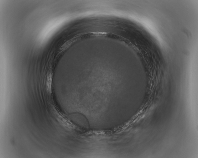 X0000113950194200909251346