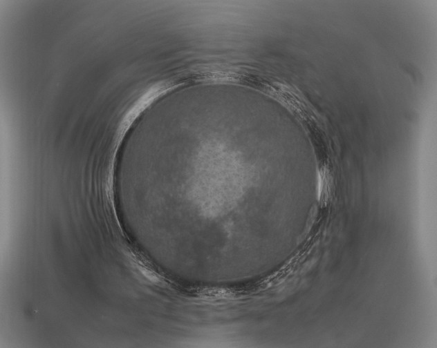 X0000113950195200909251345