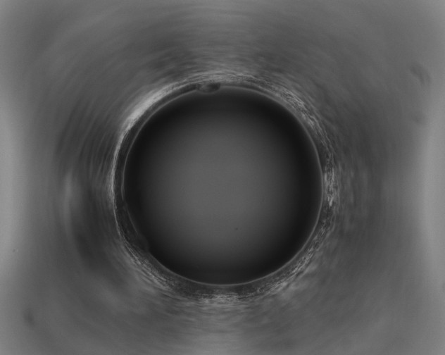 X0000113950196200909251345
