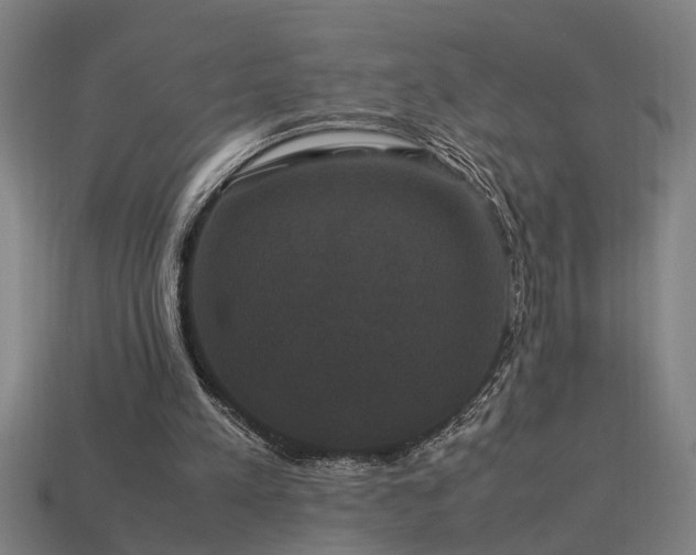 X0000113950197200909251345