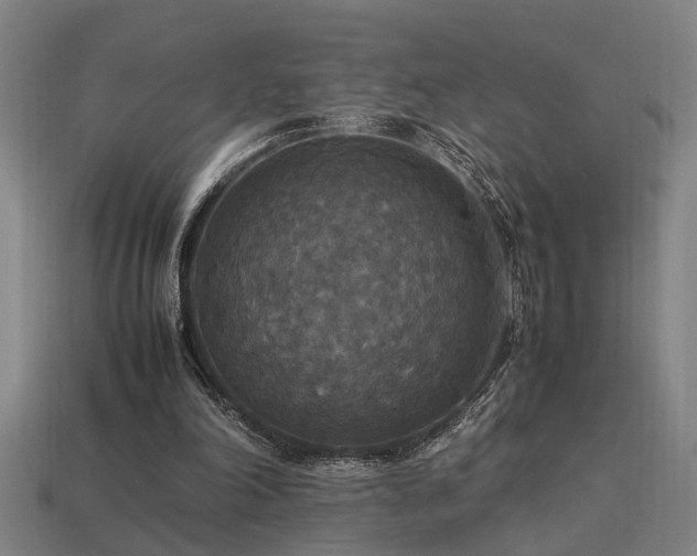 X0000113950198200909251345