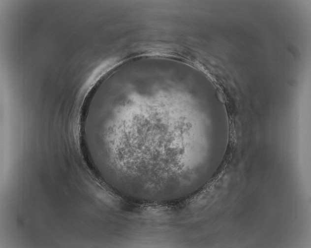 X0000113950199200909251345