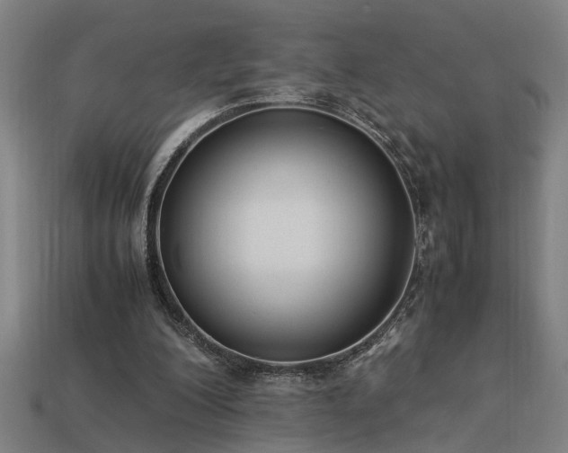 X0000113950200200909251345