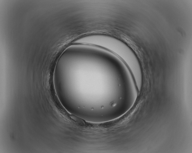 X0000113950201200909251345