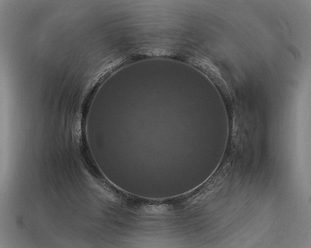X0000113950202200909251345