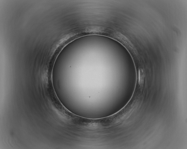 X0000113950204200909251345