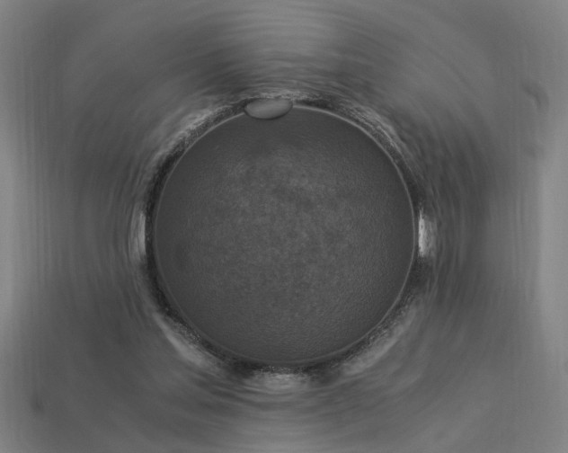 X0000113950205200909251345