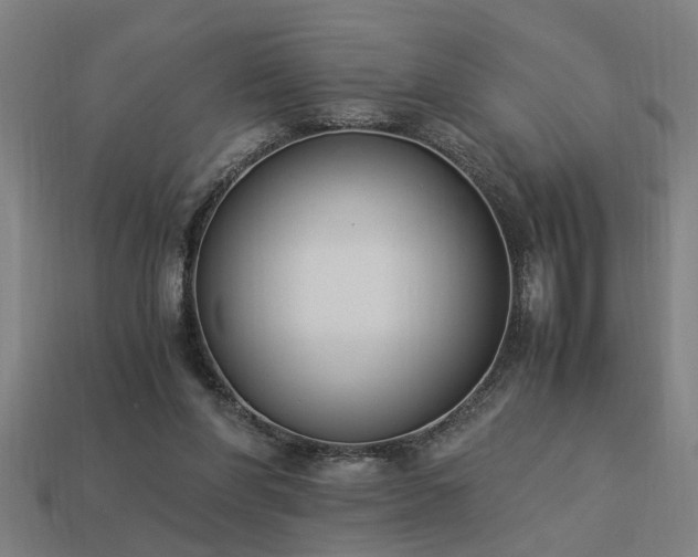 X0000113950206200909251345