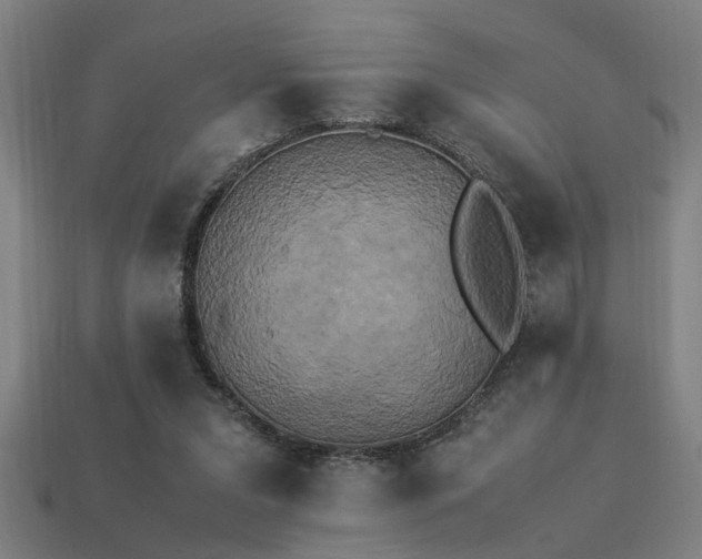 X0000113950207200909251345