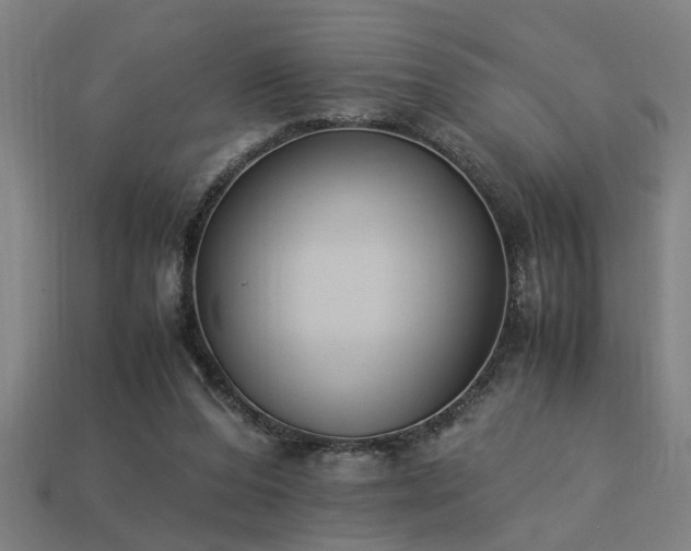 X0000113950208200909251345