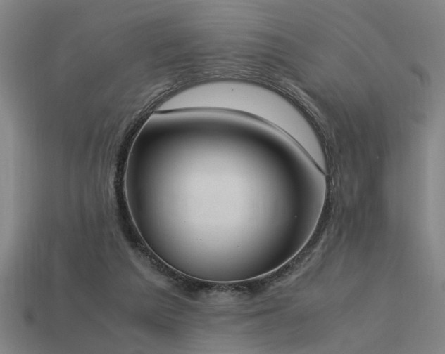X0000113950209200909251345