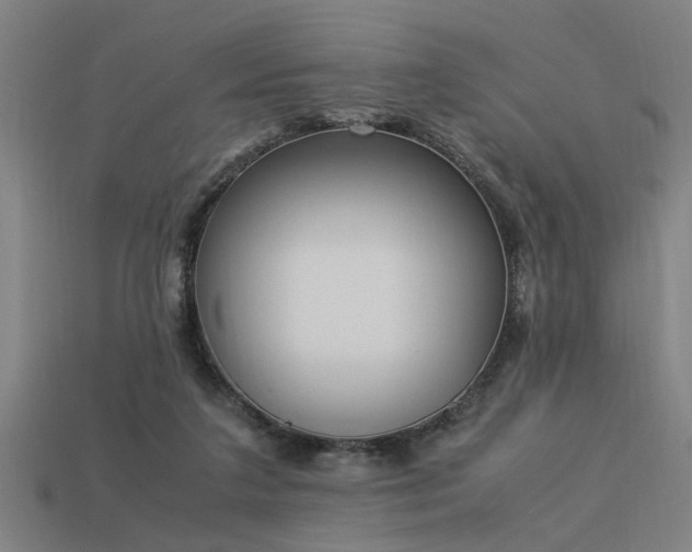 X0000113950211200909251345