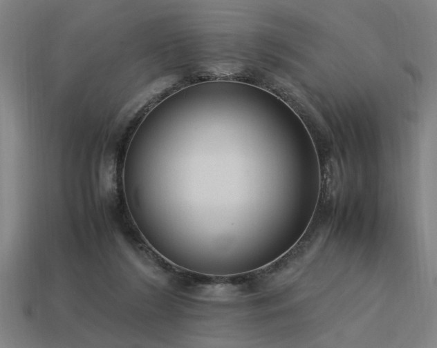 X0000113950212200909251345