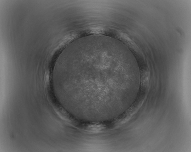 X0000113950213200909251345