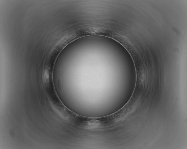 X0000113950214200909251345