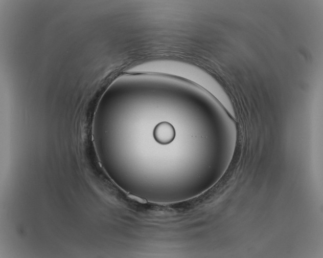 X0000113950215200909251345