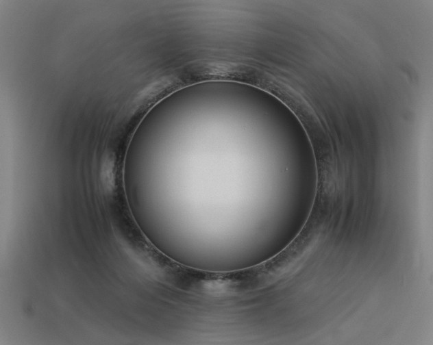 X0000113950216200909251345