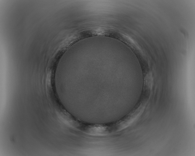 X0000113950217200909251345
