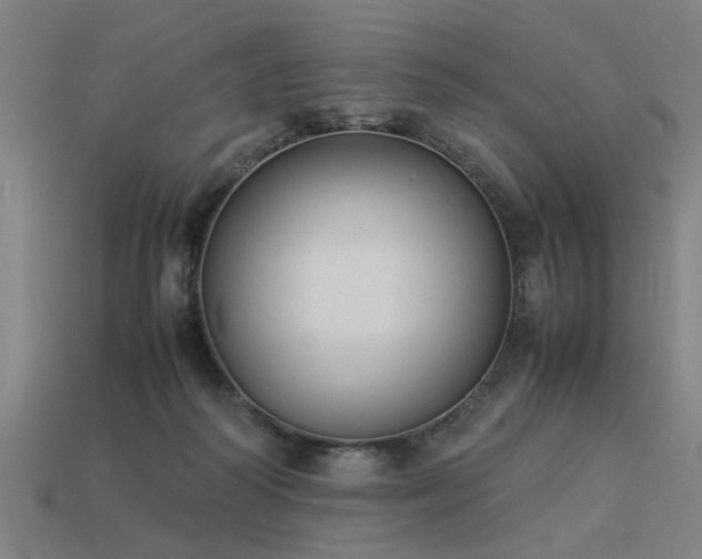 X0000113950218200909251345