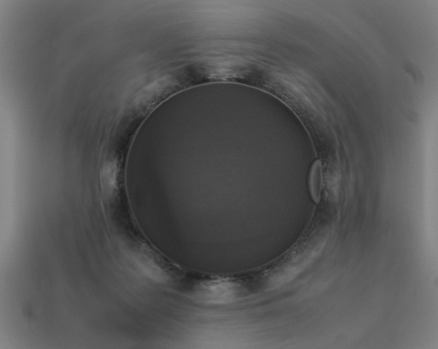 X0000113950219200909251345