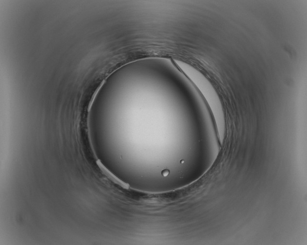 X0000113950221200909251345