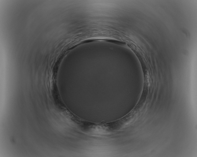 X0000113950223200909251345