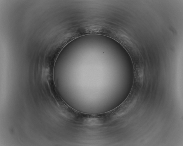 X0000113950224200909251345