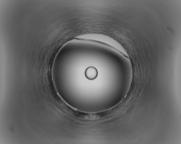 X0000113950225200909251345