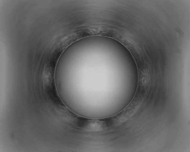 X0000113950226200909251345