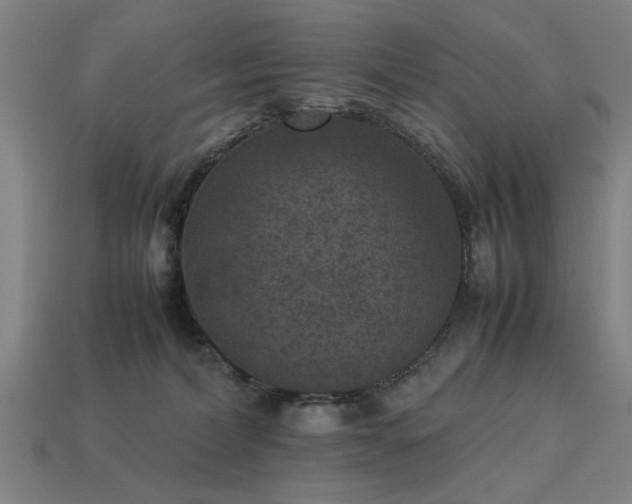 X0000113950228200909251345