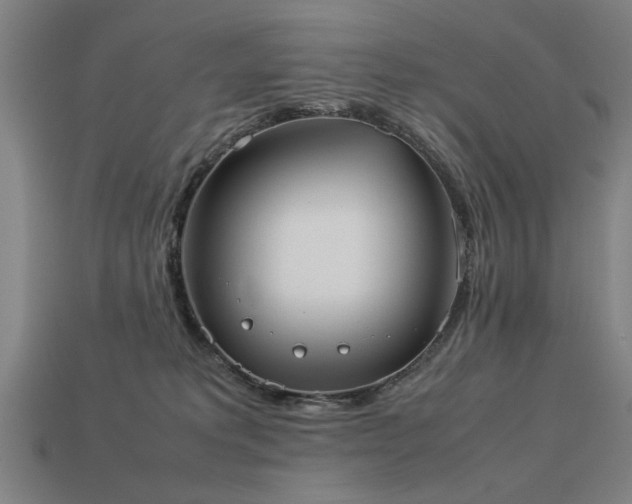 X0000113950229200909251345
