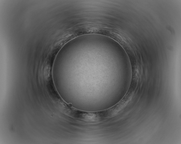 X0000113950230200909251345