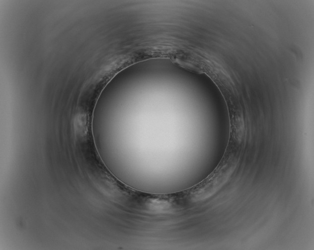 X0000113950232200909251345