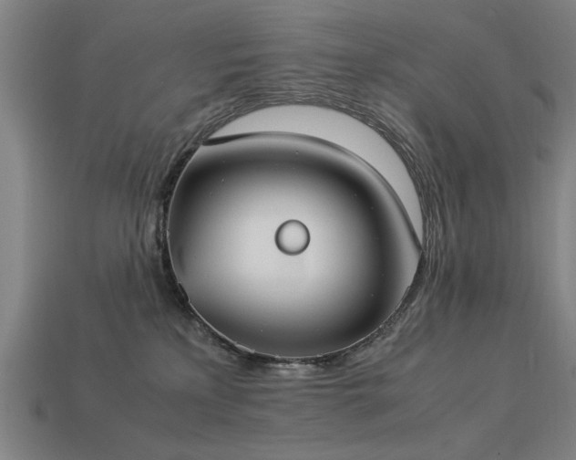 X0000113950233200909251345