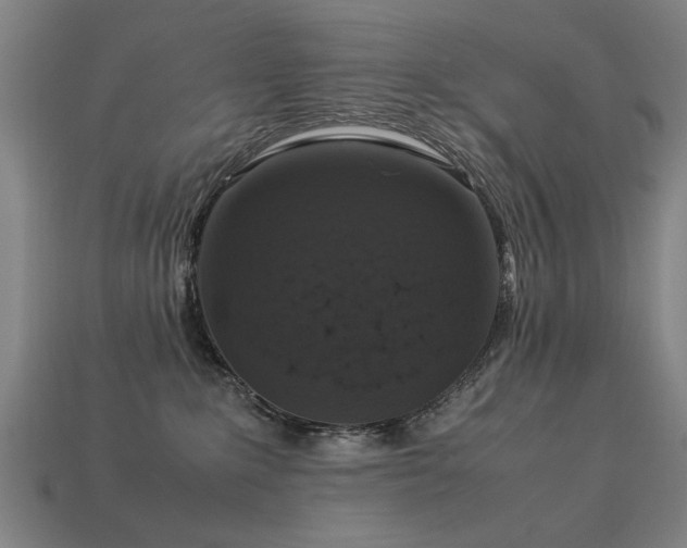 X0000113950235200909251345