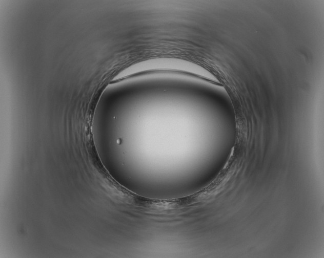 X0000113950237200909251345