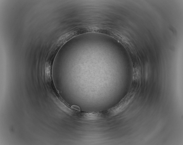 X0000113950238200909251345