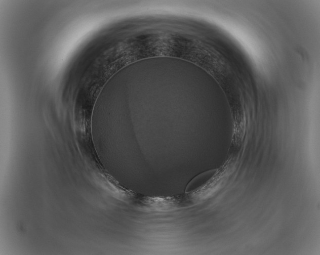 X0000113950239200909251345