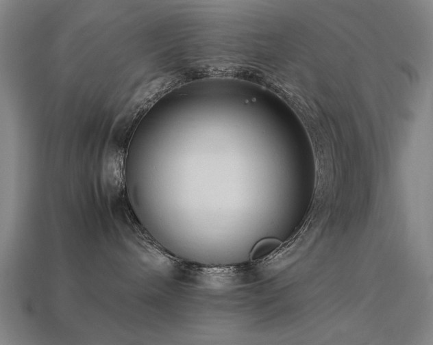 X0000113950240200909251345