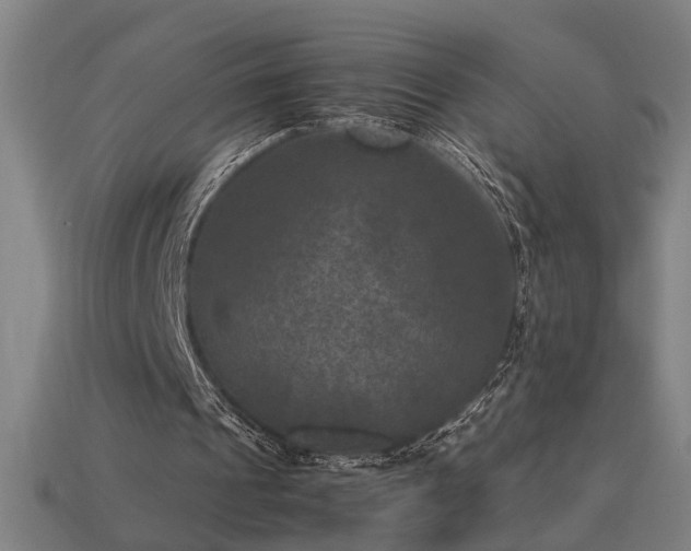 X0000113950241200909251344