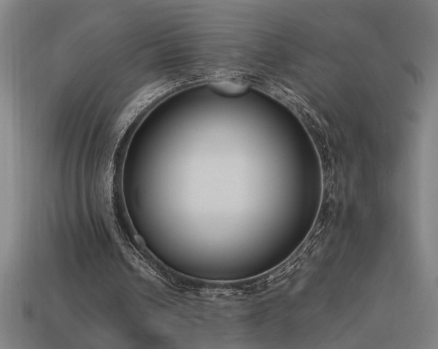 X0000113950242200909251344