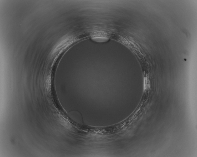 X0000113950243200909251344