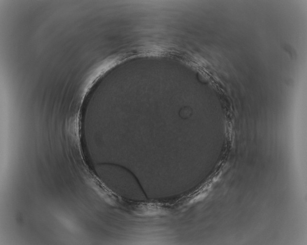 X0000113950244200909251344