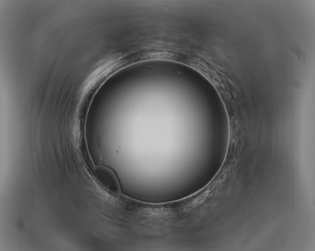 X0000113950245200909251344