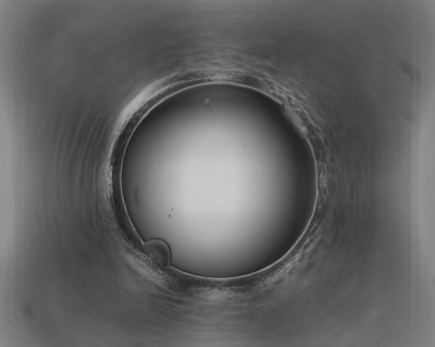 X0000113950246200909251344